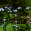 05 a Wanderung zum 1. Mai